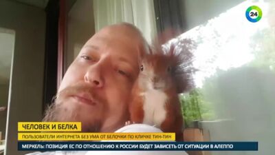 Андерсон поселил у себя дома ястреба с белочкой