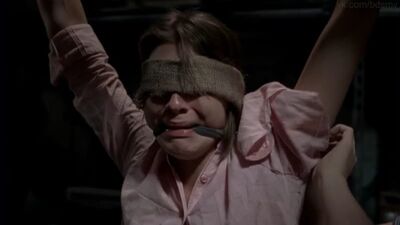 Бдсм(садизм, бондаж, изнасилование,rape, bdsm) из фильма: The Girl Next Door(Девушка по соседству) - 2007 год, Блайт Оффарт