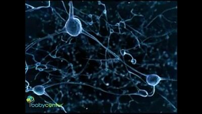 Взгляд на беременность изнутри. 28-37 неделя