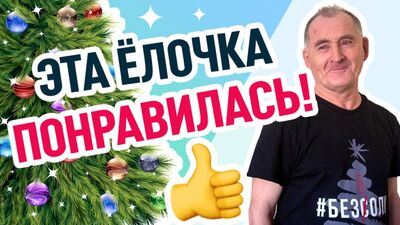 Елочка понравилась! Поздравление с Новым годом от Вячеслава Степановича #безсоли.