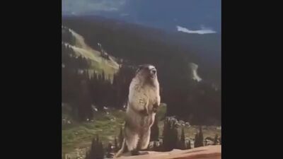 Сурок орёт в горах(1).mp4