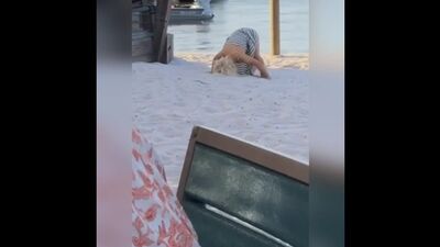 Морской крабик)