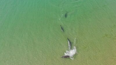 Бугазская коса