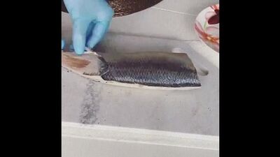 Как селёдку разделать быстро и правильно