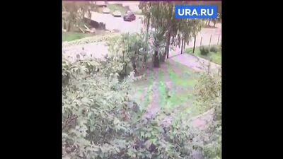 В Первоуральске пьяная мать сбила пешехода