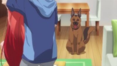 •AML• Говорю же, у меня не встаёт! / Вот почему без Эроса жизнь мне не мила! OVA / Dakara Boku wa, H ga Dekinai. OVA (Озвучка: Ancord & Nika Lenina)