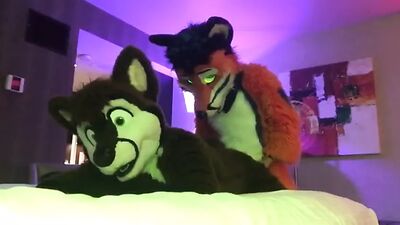 Two Gay Furries Fucking 2