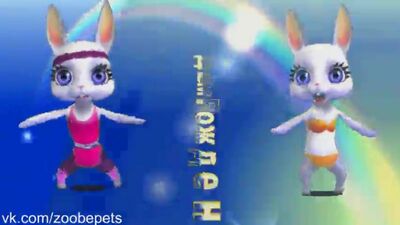 Zoobe Зайка - Поздравление с днем рождения