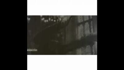 Harry Potter | Гарри Поттер | Bellatrix Lestrange | Беллатриса Лестрейндж | VINE | Вайн