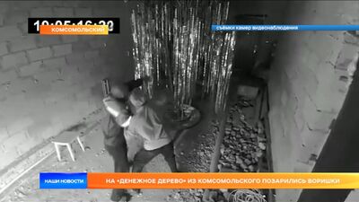 На «денежное дерево» из Комсомольского позарились воришки