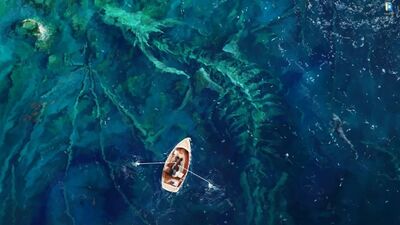 Скелет дракона под водой и лодка - живые обои для Wallpaper Engine