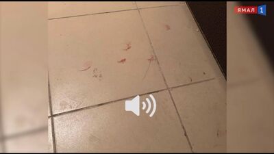 Video by Происшествия Ноябрьск