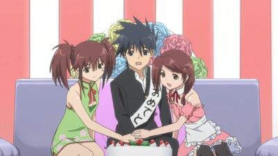 Поцелуй сестёр 11 серия ( KissXsis )