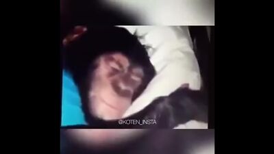 ИРЖАН ВСТАВАЙ НА РАБОТУ ПОРА