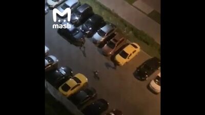 Бойца спецслужб убили в драке возле подмосковной деревни Путилково