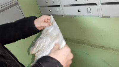 Паранормальное явление FINAL(ПАРОДИЯ)