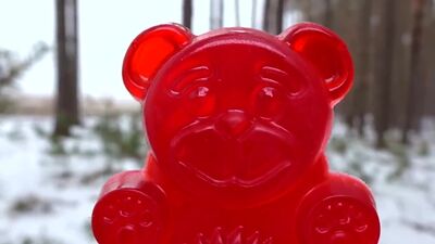 ЖЕЛЕЙНЫЙ МЕДВЕДЬ ВАЛЕРА НОВОЕ ВИДЕО ПОЗНАВАТЕЛЬ 2019 год и Смешная новая Серия видео про детские Хлопушки для Нового Года 2019