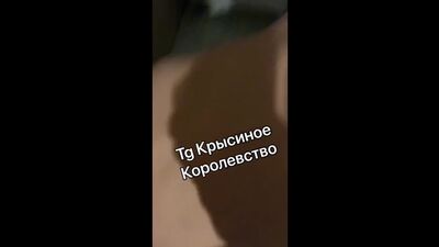 Хилми форкс ебут в попу.