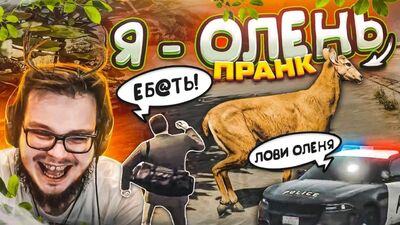 [Bulkin] УГАР ДО СЛЁЗ! Я - ОЛЕНЬ! ПРАНК НАД ИГРОКАМИ! (GTA 5 RP)