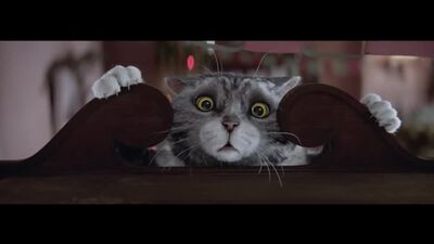 Лучшая Рождественская история kexifz hj;ltcndtycrfz bcnjhbz