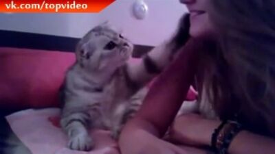 Кот - пикап мастер.