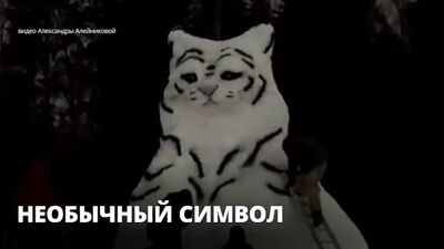 В Гатчинском парке поселился снежный тигр