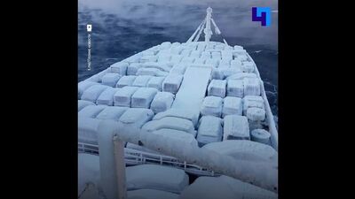 «Теперь только на запчасти»: сухогруз привез во Владивосток ледяные автомобили